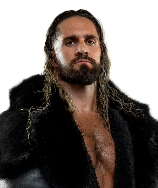 Seth Rollins - WWE World Heavyweight Champion